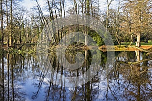 View of a very beautiful pond landscape in a park, in Altmark, Saxony-Anhalt