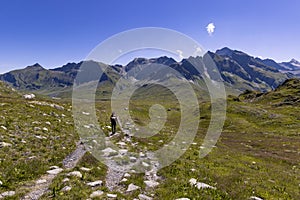 View of a very large and majestic alpine landscape in the Lord of the Rings style. In the foreground a girl walks toward