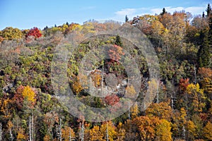 View of vibrant autumn colors in the Blue Ridge Mountains of North Carolina, USA