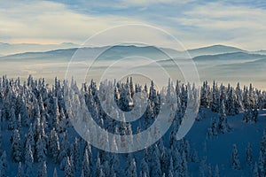 View  from Vidlica peak in Mala Fatra during winter