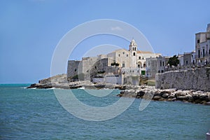 View of Vieste