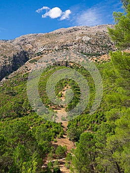 View from the viewpoint of the garita of the Collado del Almendral of the Cinegetico Park in the Cazorla photo