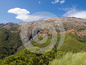 View from the viewpoint of the garita of the Collado del Almendral of the Cinegetico Park in the Cazorla photo