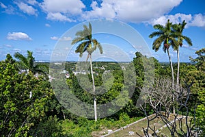 View from the Villa of Ernest Hemingway, Havana, Cuba photo