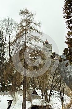 View from the village of Bran, Transylvania.