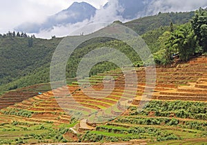 View of village CatCat with rice terraces
