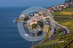 View on the village Rivaz, vineyard terraces and Geneva Lake