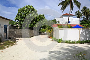 View of village street of one of Maldive Islands. Green trees and old buildings.