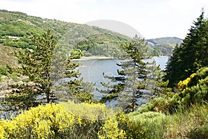 A view on the Villefort lake photo