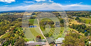 View of vineyard on Mornington Peninsula, Australia.