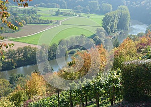 View from the vineyard summit on a river valley lined with trees
