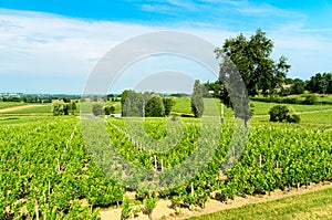 View of vineyards around the town of Saint-Emilion.