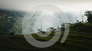 View of vineyards in the Douro Valley with light falling through the clouds, Portugal.