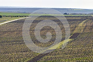 View of vineyards from the Nagyvolgy-teto mountain in the Bukk, Hungary photo