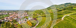 View of vineyards near Ortenberg