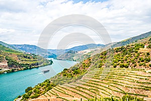 View on Vineyards in the Valley of the River Douro, Portugal