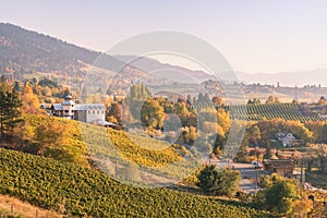 View of vineyards and wineries on the Naramata Bench at sunset in autumn