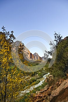 View of the Virgin River in Zion Canyon