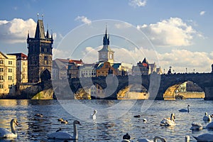 View of the Vltava River and the bridges shined with the sunset sun, Prague