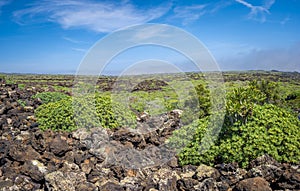 View on the volcanic landscape of northern Lanzarote, one of the Canary Islands of Spain