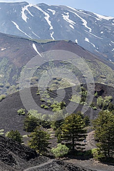 View of Volcano Etna from Mounts Sartorius photo