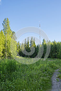 View of Vuokatinvaara hill and ski resort in summer, Vuokatti, Kainuu, Finland