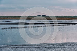 View on the Wadden sea, mudflats galore