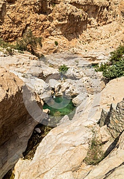 View of the Wadi Bani Khalid oasis in the desert in Sultanate of Oman