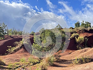 View from Waimea Canyon Drive on Kauai island in Hawaii