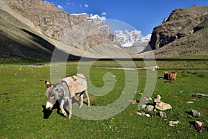 View on the Wakhan valley in the Pamir mountain inTajikistan