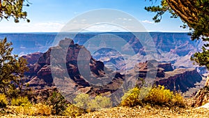 View at the Walhalla Overlook on the Cape Royal Road at the North Rim of the Grand Canyon photo