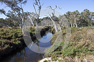 View from the walk path along the Leschenault Estuary Bunbury Western Australia .