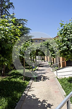 View of a walk in Utrillas