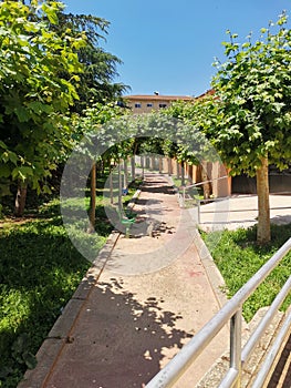 View of a walk in Utrillas