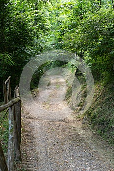 View of walking tracks through rural countryside