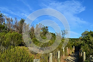 A view of the walking trail at Little Congwong Beach