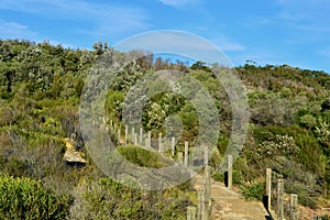 A view of the walking trail at Little Congwong Beach