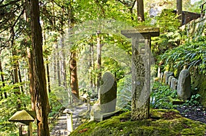 View of walking trail to Yamadera Mountain.