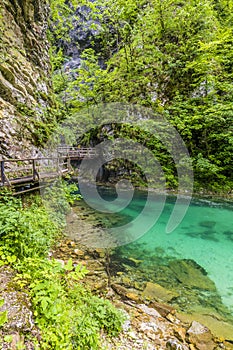 A view of a walkway beside a calmer section of the Radovna River in the Vintgar Gorge in Slovenia photo
