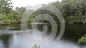 View of the Walpole River Western Australia in autumn.