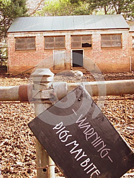 A view of a warning sign at a pig enclose with two pigs in the background