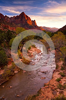 View of the Watchman mountain and the virgin river in Zion National Park located in the Southwestern United States, Utah