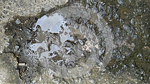 View of water on the concrete floor
