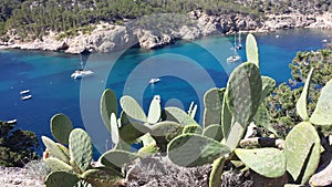 Cova de Can Marca Ibiza photo