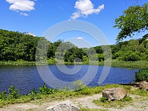 The view of the water and green trees near Folley Pond, Banning Park, Delaware, U.S.A