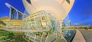 View of water lilies under ArtScience Museum and Singapore skyscrapers in the background