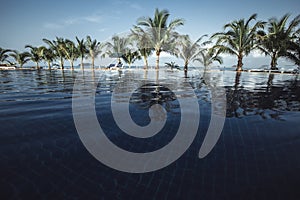 View of the water pool on a tropical beach with palm trees.