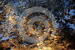 View of the water in a stream with a beautiful rocky bottom in shallow water