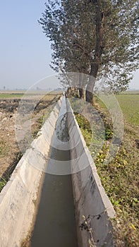 A view of a water-tail passing through a field in the village of Gage