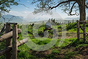 View of a water tank for cows on a field for drinking against a  background of a forest